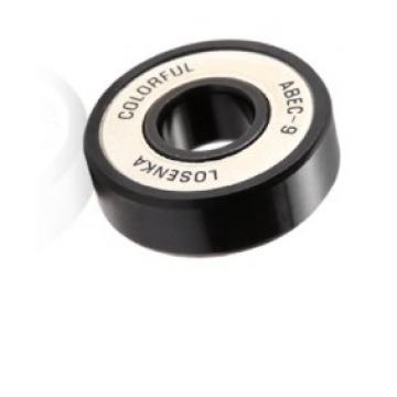 rubber seal Japan NSK ball bearing 6202LU 6202DU in stock